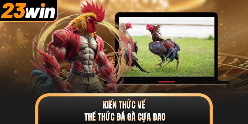 Kiến thức về thể thức đá gà cựa dao