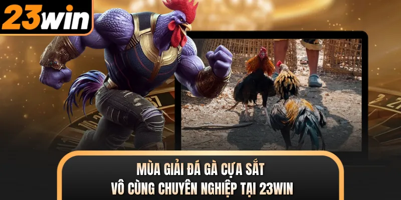 Mùa giải đá gà cựa sắt vô cùng chuyên nghiệp tại 23WIN