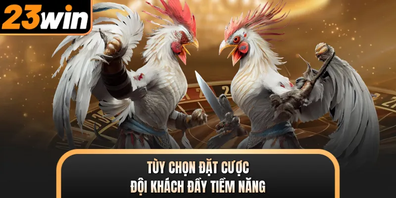 Tùy chọn đặt cược đội khách đầy tiềm năng